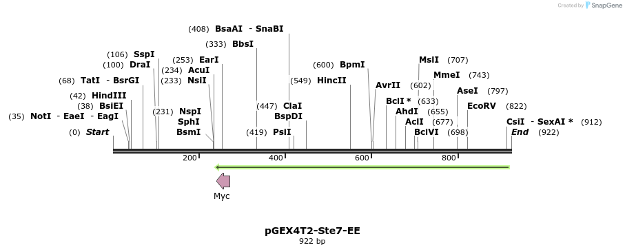 83280_map
