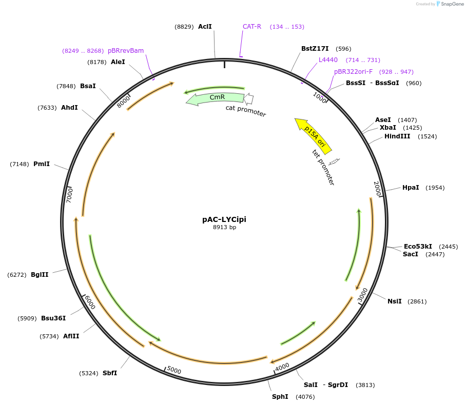 83281_map