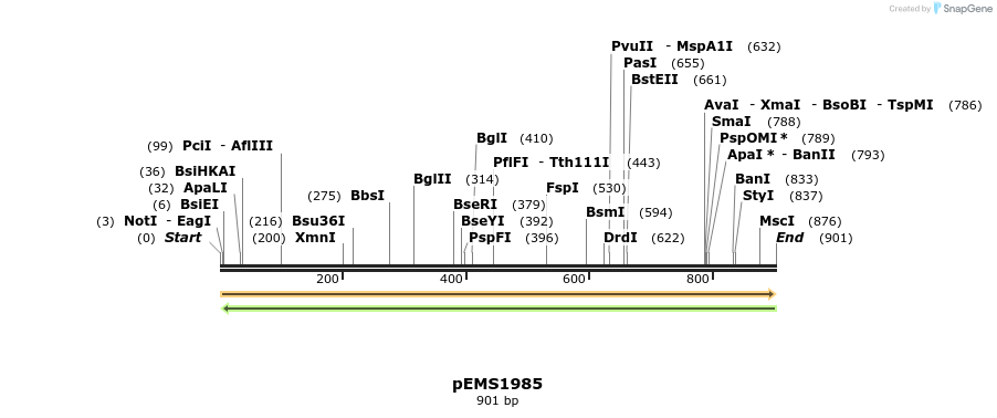 83294_map