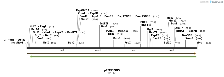 83295_map