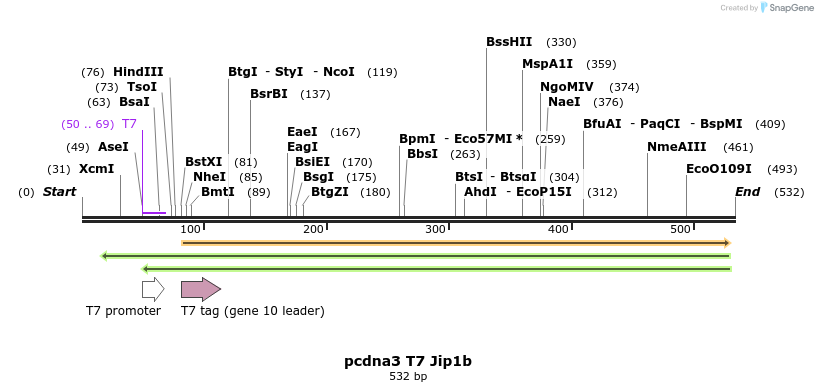 83297_map