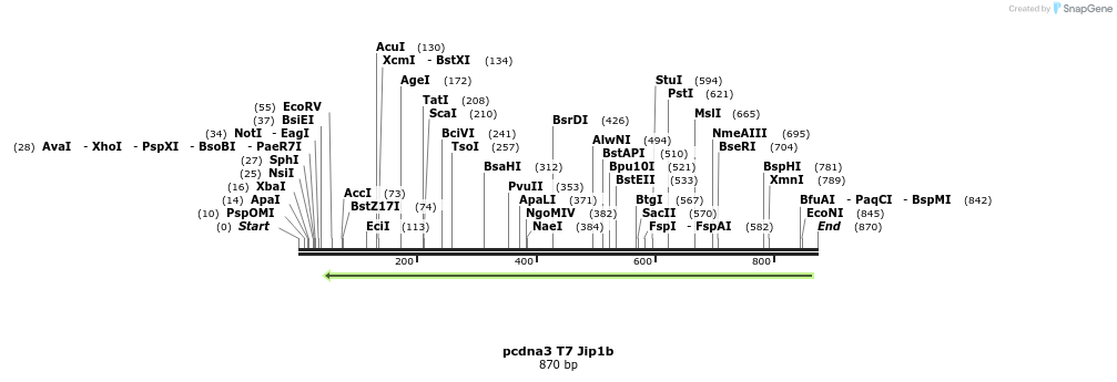 83298_map