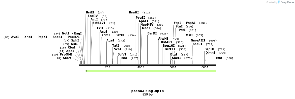83300_map