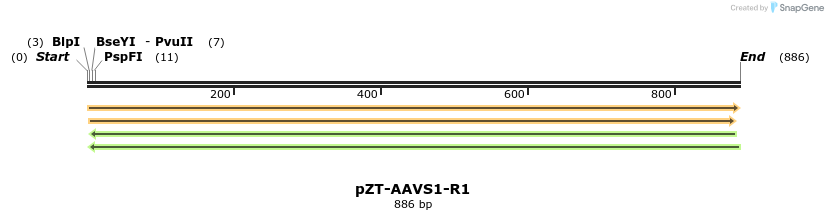 83316_map