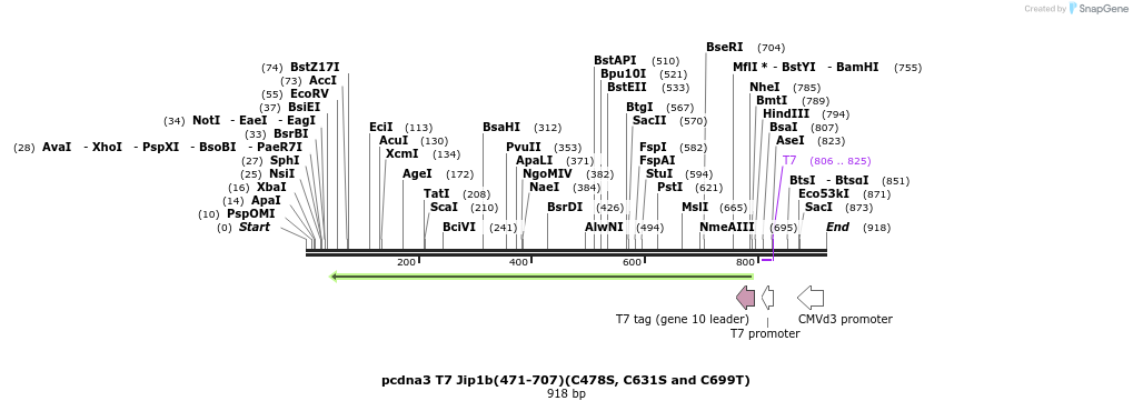 83329_map