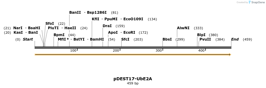 8333_map