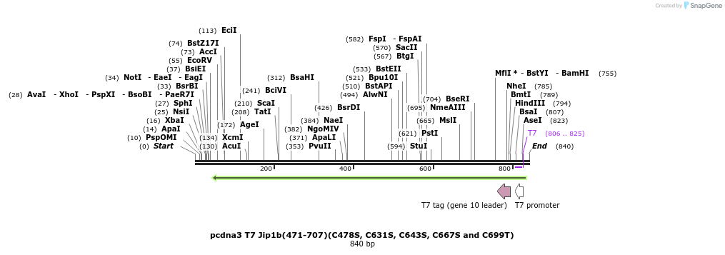 83333_map