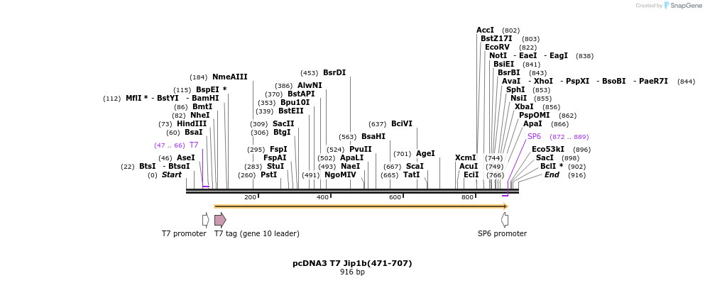 83335_map