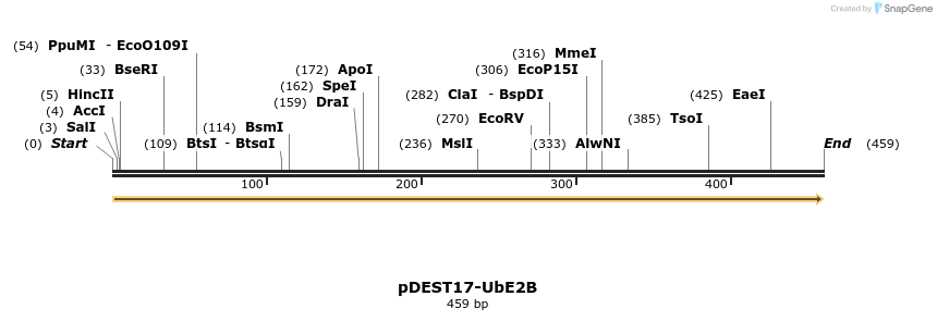 8334_map