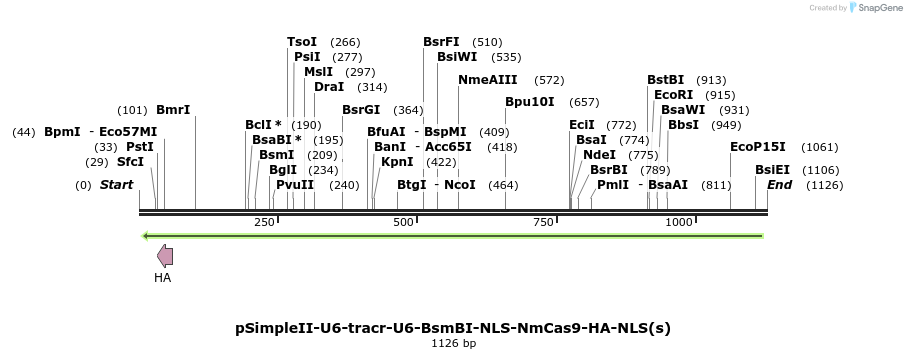 83343_map