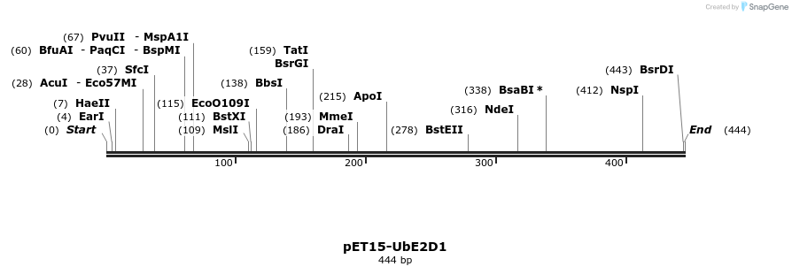 8335_map