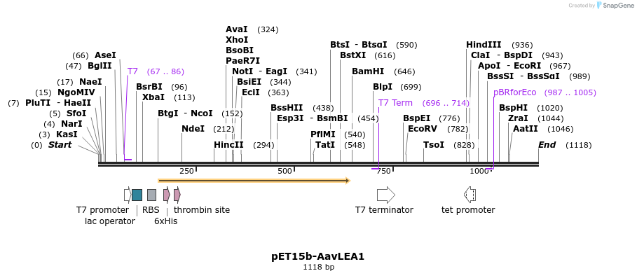 83351_map