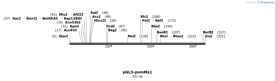 83353_map