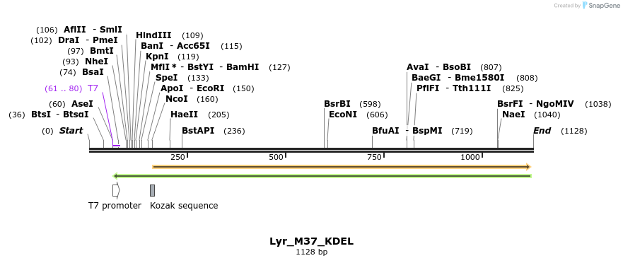 83356_map