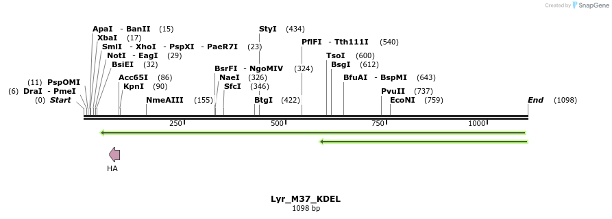 83357_map