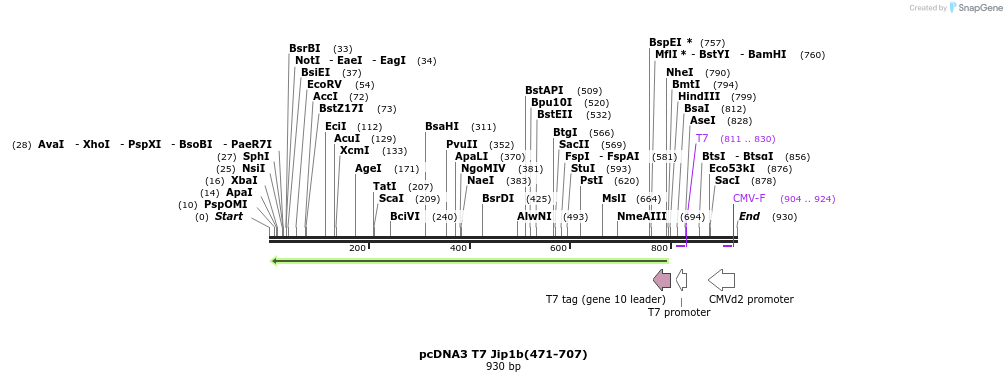 83365_map