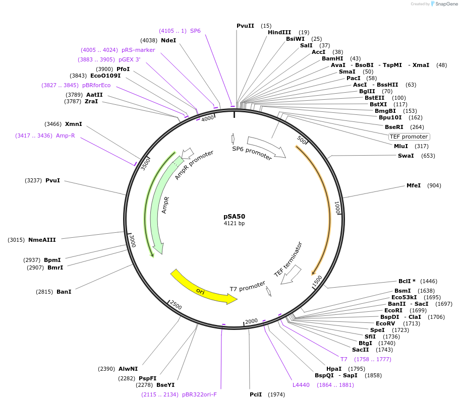 83381_map