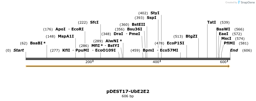 8341_map