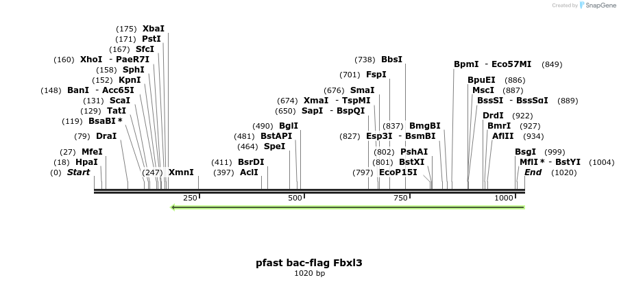 83421_map