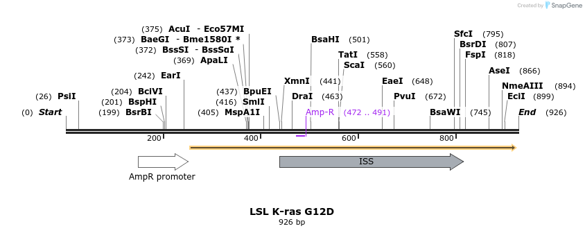 83423_map