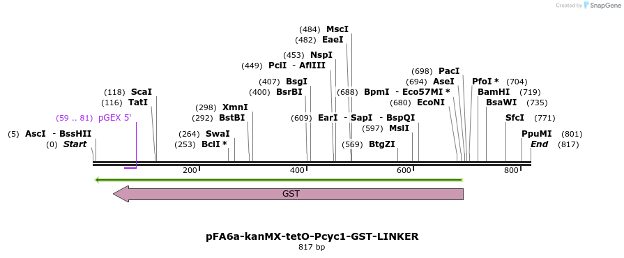 83427_map
