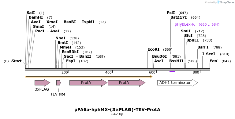 83429_map