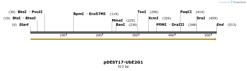 8343_map
