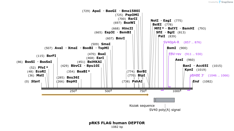83430_map