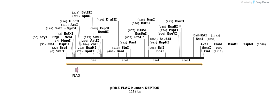 83431_map