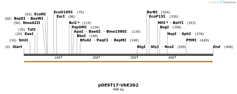 8344_map
