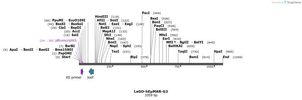 83452_map