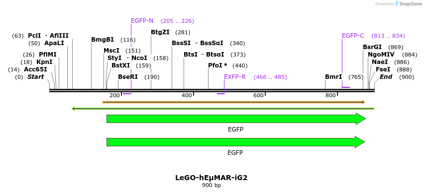 83456_map