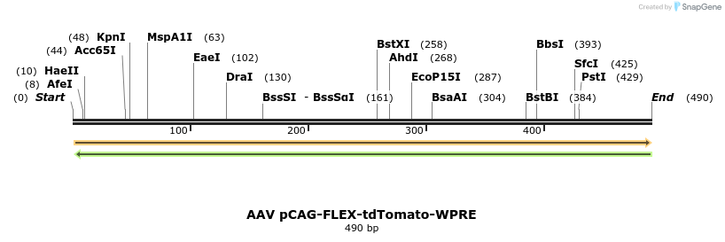 83461_map