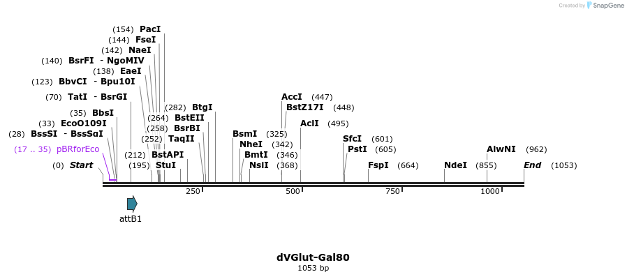 83462_map
