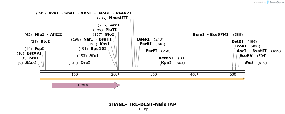 83495_map