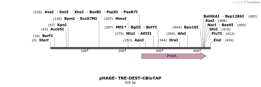 83496_map