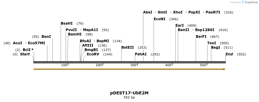 8350_map