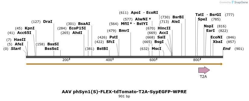 83502_map