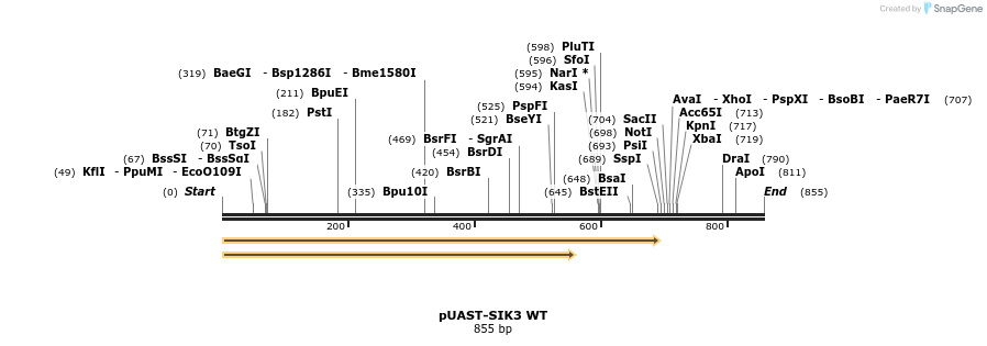 83505_map