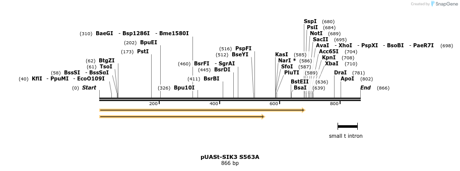 83506_map