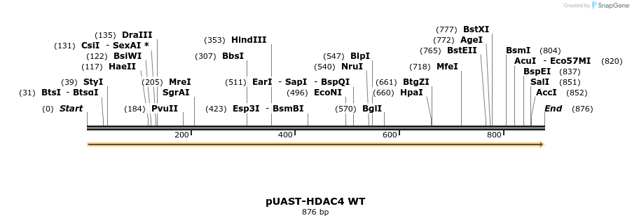 83507_map