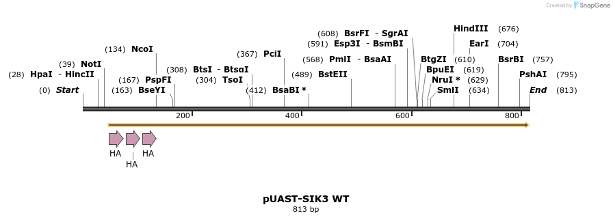 83513_map