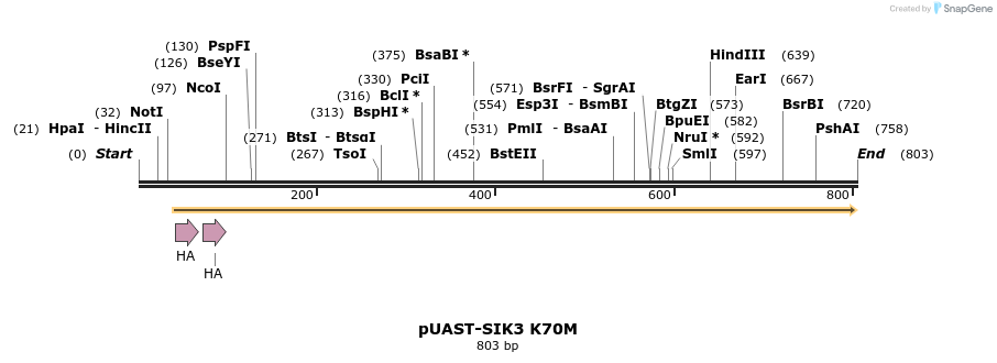 83515_map