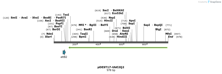 8352_map