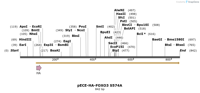 83523_map