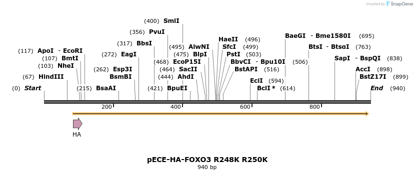 83524_map