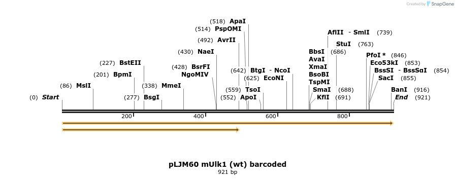 83526_map