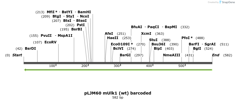 83527_map