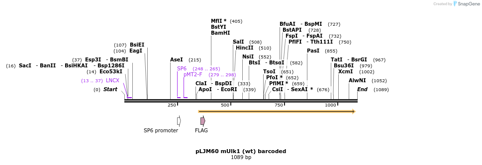 83528_map