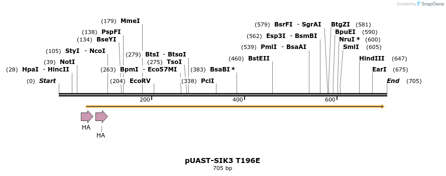 83531_map